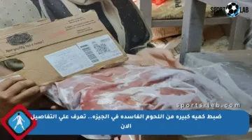 ضبط كمية كبيرة من اللحوم الفاسدة في الجيزة.. تعرف على التفاصيل الآن